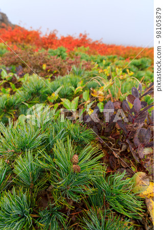 岩手山_三石山 98105879