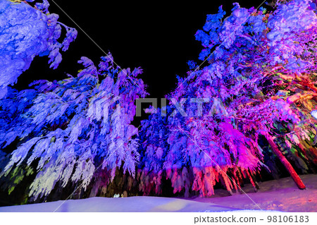 Illuminated frost-covered trees of Zao, Yamagata Prefecture, Yamagata Prefecture Illuminated frost-covered trees of Zao, Yamagata Prefecture, Yamagata Prefecture 98106183