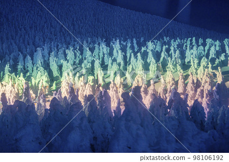 山形縣山形縣藏王的燈光霜覆蓋的樹木 98106192