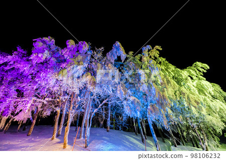 Illuminated frost-covered trees of Zao, Yamagata Prefecture, Yamagata Prefecture Illuminated frost-covered trees of Zao, Yamagata Prefecture, Yamagata Prefecture 98106232