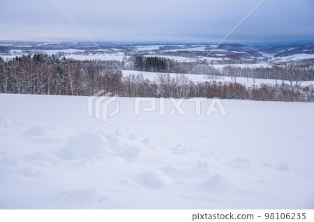 Furano winter 98106235