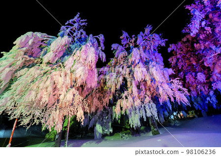 Illuminated frost-covered trees of Zao, Yamagata Prefecture, Yamagata Prefecture 98106236