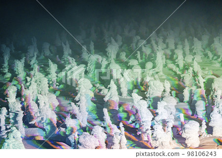 Illuminated frost-covered trees of Zao, Yamagata Prefecture, Yamagata Prefecture 98106243