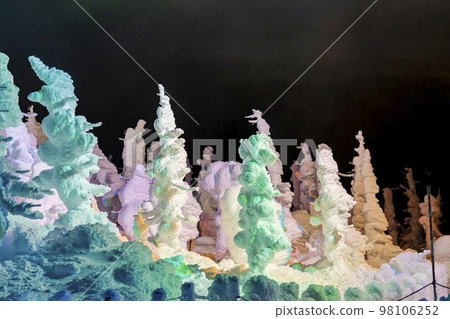 山形縣山形縣藏王的燈光霜覆蓋的樹木 98106252