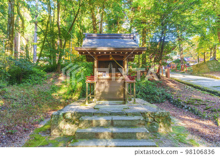 秋天的日吉大社宇治上神社（滋賀縣大津市坂本） 98106836