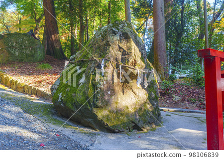 Autumn at Hiyoshi Taisha Saruiwa (Sakamoto, Otsu City, Shiga Prefecture) 98106839