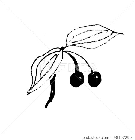 Hotaku 草果實的線描插圖 98107290