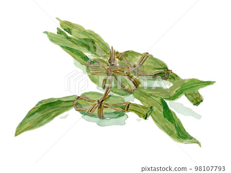 竹 dango 水彩插圖 竹 dango 水彩插圖 98107793