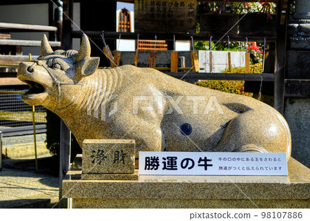 京都三室戶寺的駒子 京都三室戶寺的駒子 98107886