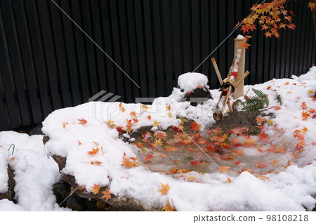 有秋葉和雪的築梅（chozubachi）3 98108218