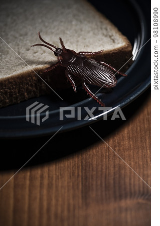 以吃剩麵包為食的假蟑螂害蟲圖片 98108990