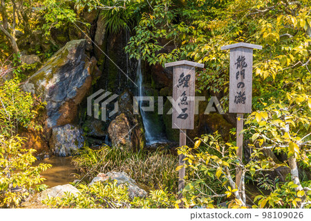 古京都世界遺產金閣寺（六園寺）龍門瀑布和鯉魚石 98109026