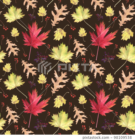 Autumn leaf maple, oak, poplar seamless pattern isolated on white. Watercolor hand drawn illustration. Art for design Autumn leaf maple, oak, poplar seamless pattern isolated on white. Watercolor hand drawn illustration. Art for design 98109538