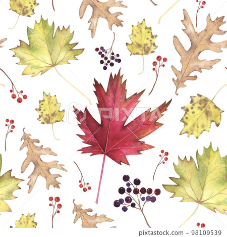 Autumn leaf maple, oak, poplar seamless pattern isolated on white. Watercolor hand drawn illustration. Art for design 98109539