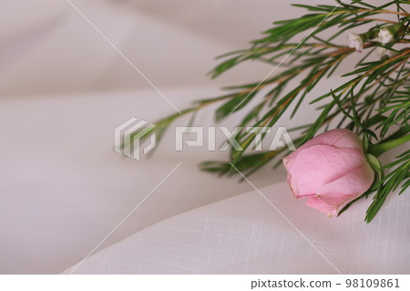 roses and wax flowers roses and wax flowers 98109861