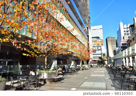 銀座時尚大樓露台上的秋葉 98110303