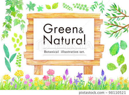 Green natural watercolor illustration 98110521