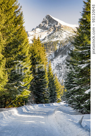 Snowy road in winter forest with hill at background. Peak Krivan in Koprova valley in High Tatras mountains at Slovakia 98110648