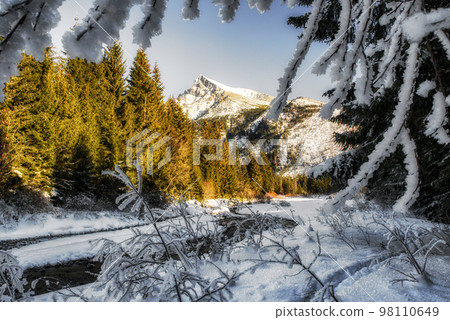 Mountain stream in winter forest country with high hill at bacground. Peak Krivan in Koprova valley in High Tatras mountains at Slovakia 98110649