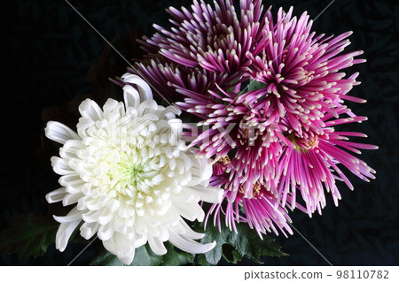 A bouquet of offerings 98110782