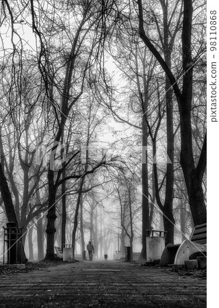 A man walking a dog in misty autumn park in the morning 98110868