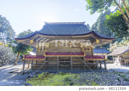 Hiyoshi Taisha in autumn, the back of the main hall of Higashi Hongu (Sakamoto, Otsu City, Shiga Prefecture) 98111509