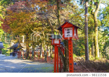Hiyoshi Taisha shrine in autumn, Shinto lanterns on the approach to Hakusangu Shrine (Sakamoto, Otsu City, Shiga Prefecture) 98111538