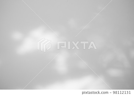Abstract natural tree leaves shadow on white wall background 98112131