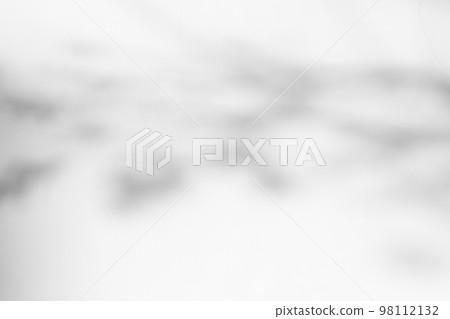 Abstract natural tree leaves shadow on white wall background Abstract natural tree leaves shadow on white wall background 98112132