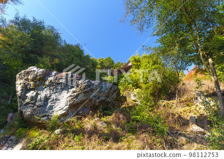 秋天的日吉大社 三宮牛尾神社參拜路線(滋賀縣大津市坂本) 秋天的日吉大社 三宮牛尾神社參拜路線(滋賀縣大津市坂本) 98112753