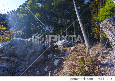 Hiyoshi Taisha Shrine in Autumn Steep mountain road on Mt. Hachioji (Sakamoto, Otsu City, Shiga Prefecture) 98112783