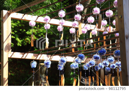 風鈴繡球花 風鈴繡球花 98112795