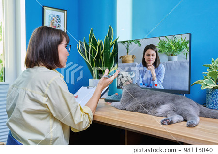 Middle aged woman having video conference with young female 98113040
