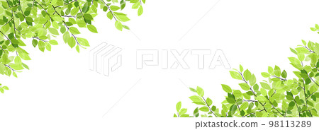 Fresh green frame / background material (horizontal for banner) 98113289