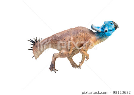 Protoceratops  , dinosaur on  isolated background 98113682