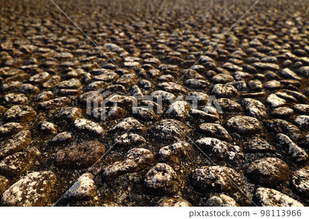 Stone background 98113966