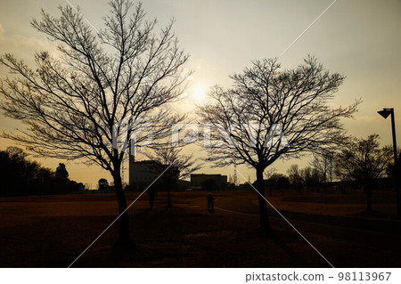 Park and sunset silhouette 98113967