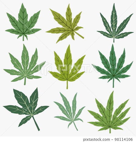 Cannabis leaf freehand drawing flat design. Cannabis leaf freehand drawing flat design. 98114106