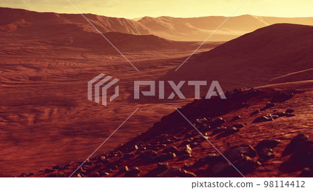 Beautiful sand dunes in the Sahara desert at sunset 98114412