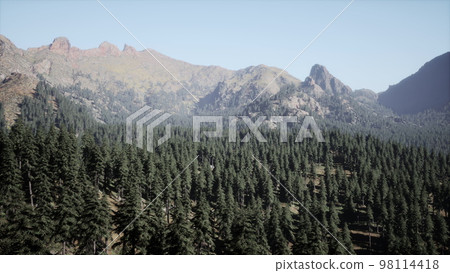 Beautiful sunset view in cedar forest in front of sayan mountain range Beautiful sunset view in cedar forest in front of sayan mountain range 98114418
