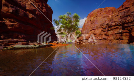 Grand canyon and Colorado river Grand canyon and Colorado river 98114522