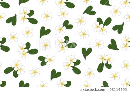 Illustration of Frangipani, Pumeria flower with leaves on white background. 98114593