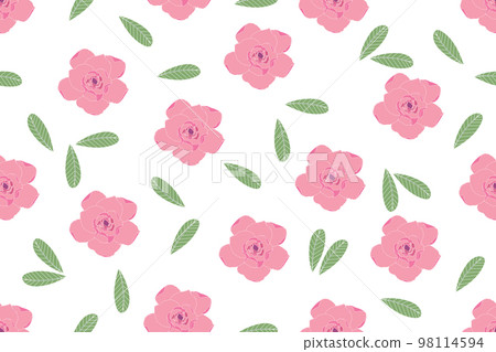 Illustration of Desert rose, Mock Azalea, Pinkbignonia, Impala lily flower with leaves on white background. Illustration of Desert rose, Mock Azalea, Pinkbignonia, Impala lily flower with leaves on white background. 98114594