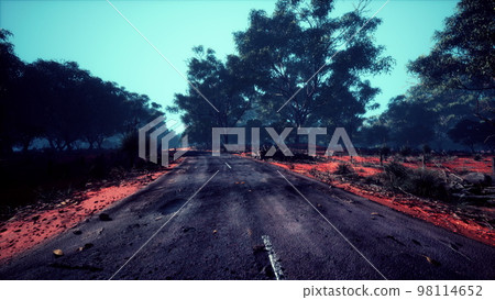 Asphalt country road leading through rural Senegal 98114652
