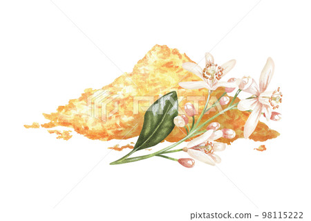 Grated peel with white lemon flowers. A bunch of zest. Watercolor illustration. Isolated on a white background. For your design packaging spices, decorating recipe sheets, cookbooks Grated peel with white lemon flowers. A bunch of zest. Watercolor illustration. Isolated on a white background. For your design packaging spices, decorating recipe sheets, cookbooks 98115222