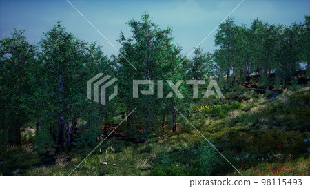 Summer landscape in mountains and the dark blue sky 98115493
