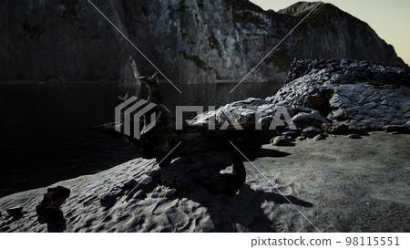 Black sand beach hidden between blurred volcanic rocks 98115551