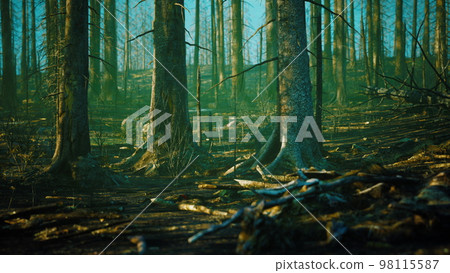Forest fire and fallen tree is burned to the ground with a lot of smoke 98115587