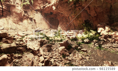 Trail in a Hawaiian rain forest leading to big cave Trail in a Hawaiian rain forest leading to big cave 98115589