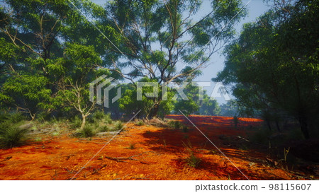 Coastal vegetation with trees and shrubs 98115607